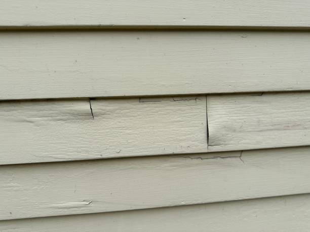 Best Yard Waste Removal  in Velda City, MO